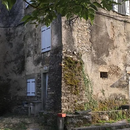 Bel Au Coeur De La Castagniccia * Piedipartino