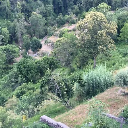 Bel Au Coeur De La Castagniccia Appartamento *